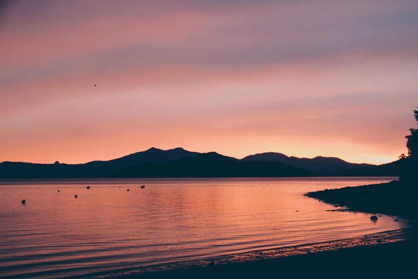 Les îles Malouines: Une aventure fantastique pour découvrir une faune exceptionnelle