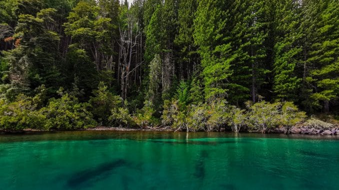 a body of water with trees around it